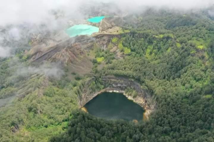 Wisma Kelimutu Ende Zewnętrze zdjęcie