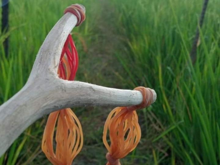 Wisma Kelimutu Ende Zewnętrze zdjęcie